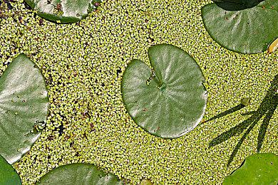 厂商解释《星球大战：旧共和国武士2》DLC取消原因