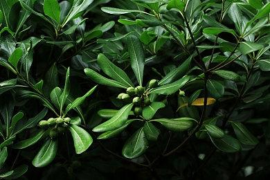 《光与影：33号远征队》官方感谢中国玩家：得到你们垂爱实属不易