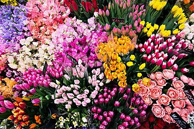 索尼：PS5 Pro是一个全套产品 给玩家带来非凡价值