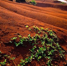 《倾听画语》PS4和Switch版6月2日发售 同步主要内容更新